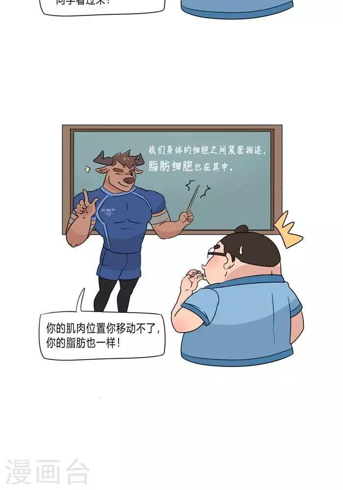 第5话  脂肪有多神秘-第5话