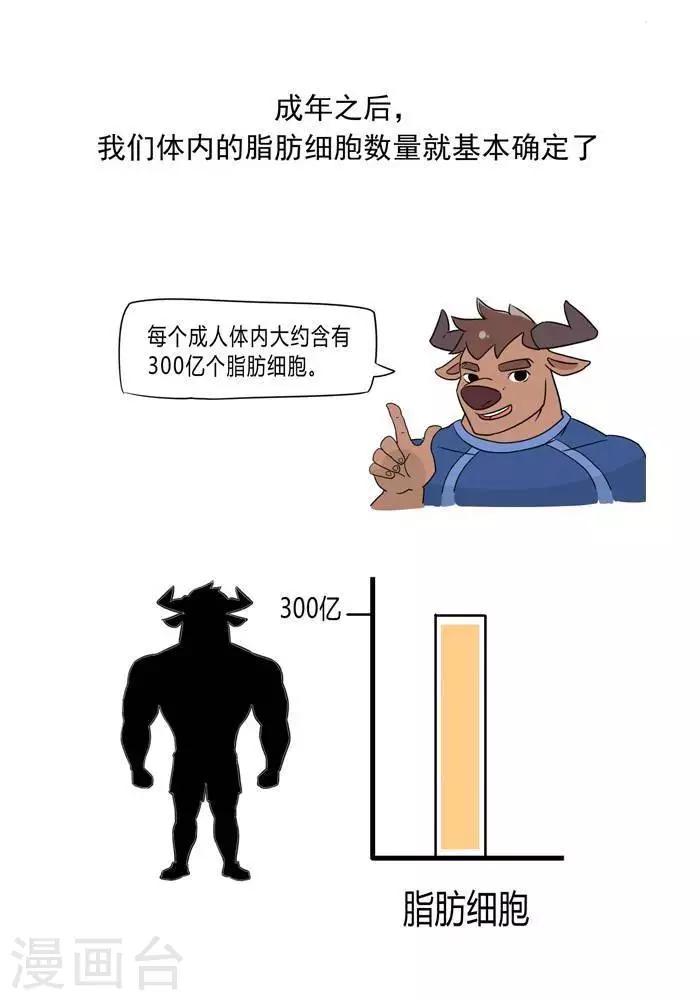 第5话  脂肪有多神秘-第5话