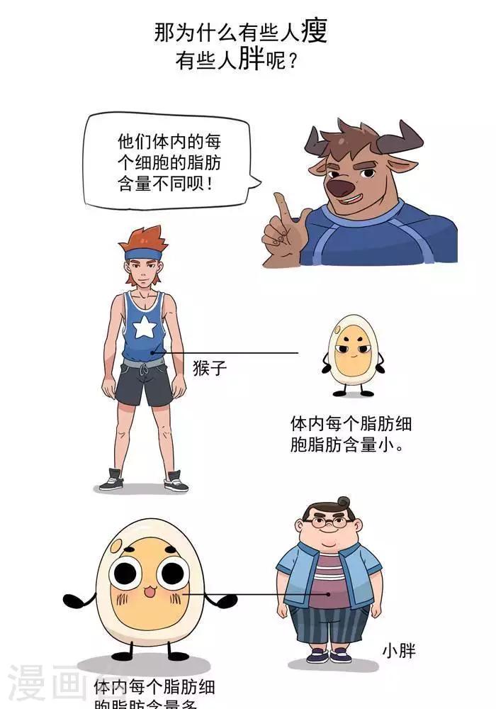 大牛健身漫畫 - 第5話  脂肪有多神秘 - 3