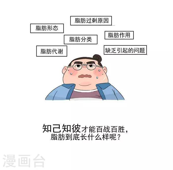 第5话  脂肪有多神秘-第5话