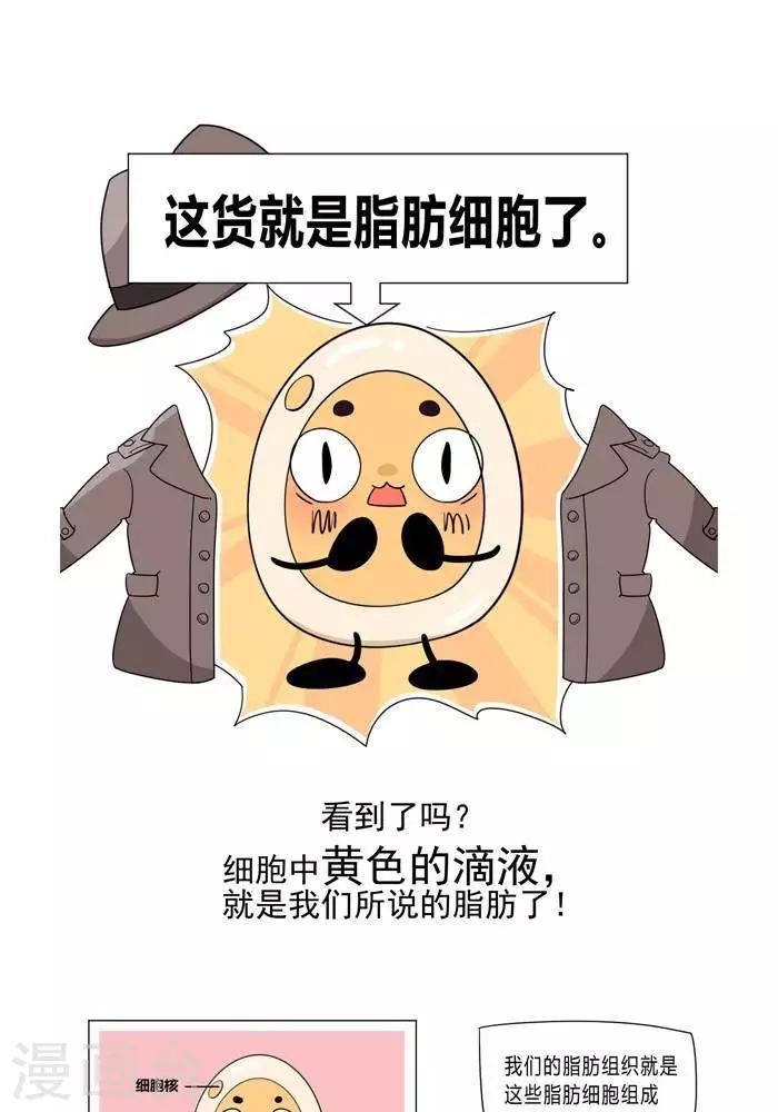 第5话  脂肪有多神秘-第5话