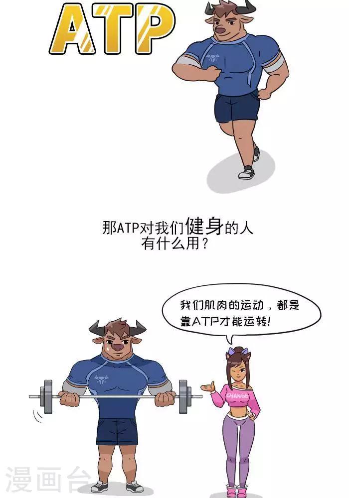 第7话  ATP是什么？-第7话
