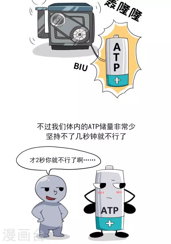 第7话  ATP是什么？-第7话