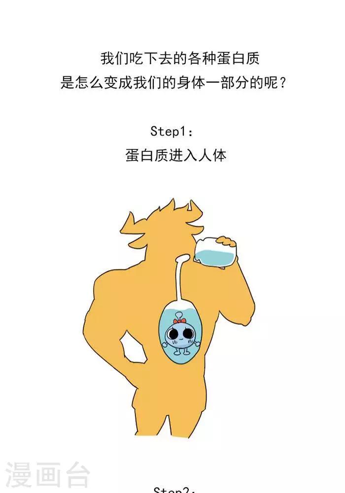 第9话  蛋白质知多少？-第9话