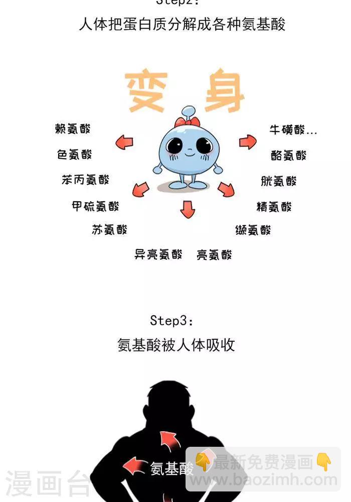第9话  蛋白质知多少？-第9话