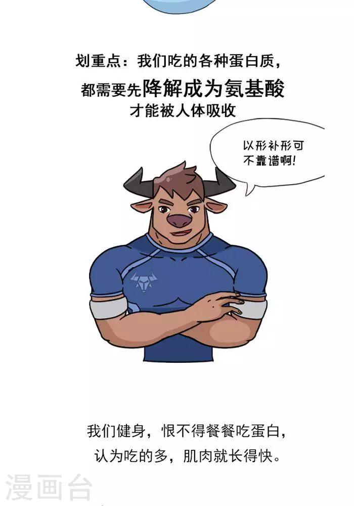 第9话  蛋白质知多少？-第9话