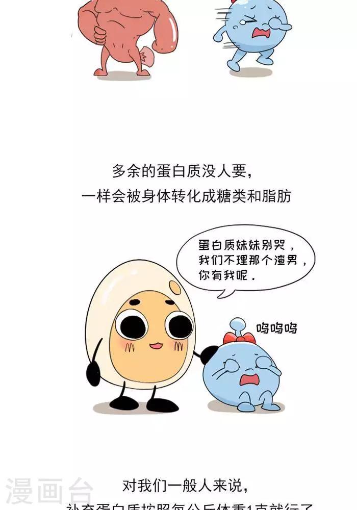 第9话  蛋白质知多少？-第9话