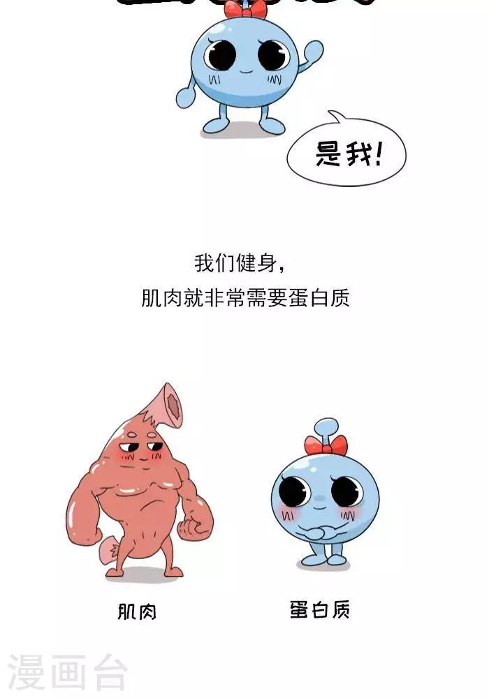 第9话  蛋白质知多少？-第9话