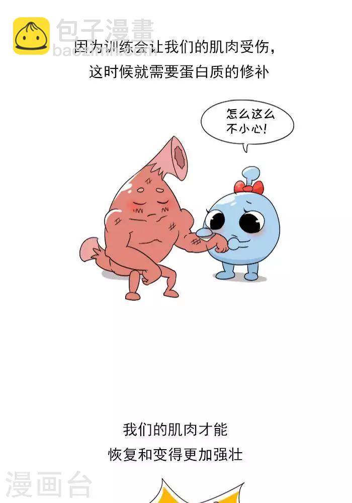 第9话  蛋白质知多少？-第9话