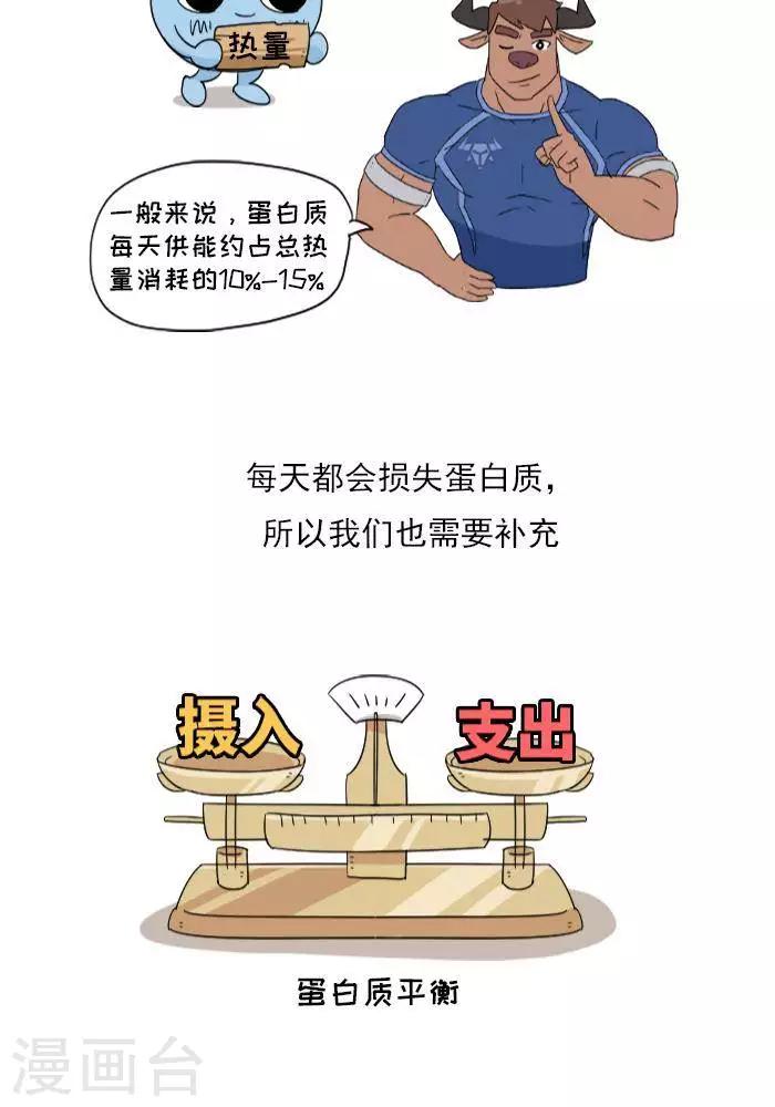 第9话  蛋白质知多少？-第9话