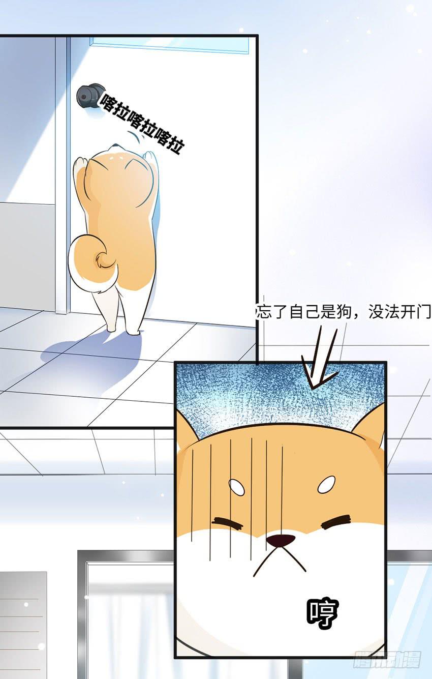 老师你真的是医生吗？-第15话