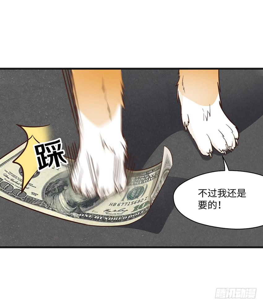 时空错乱？-第19话