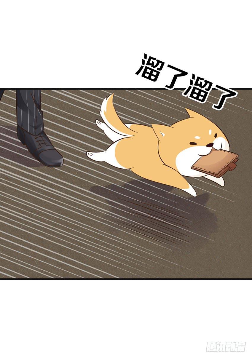 时空错乱？-第19话