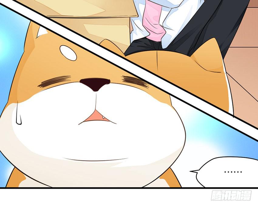 36&middot;一个愿打一个愿挨-第37话