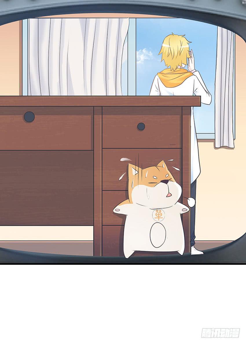 38&middot;遛狗记得牵狗绳-第39话