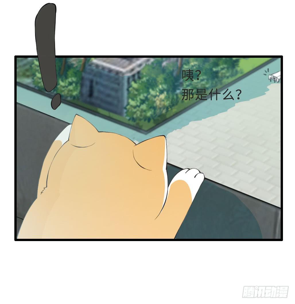 44&middot;人格分裂？-第45话