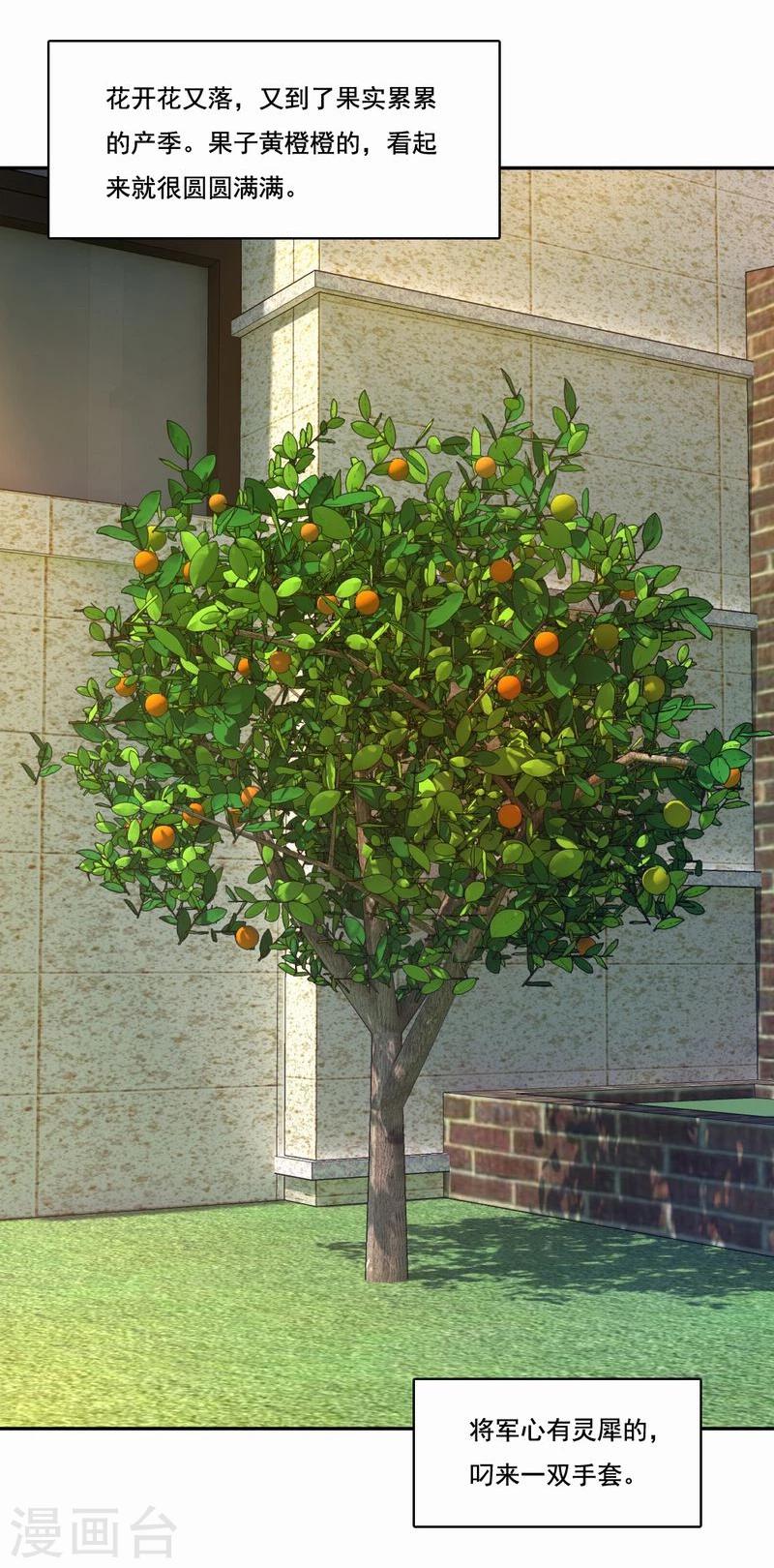 第46话 致敬英雄-第47话