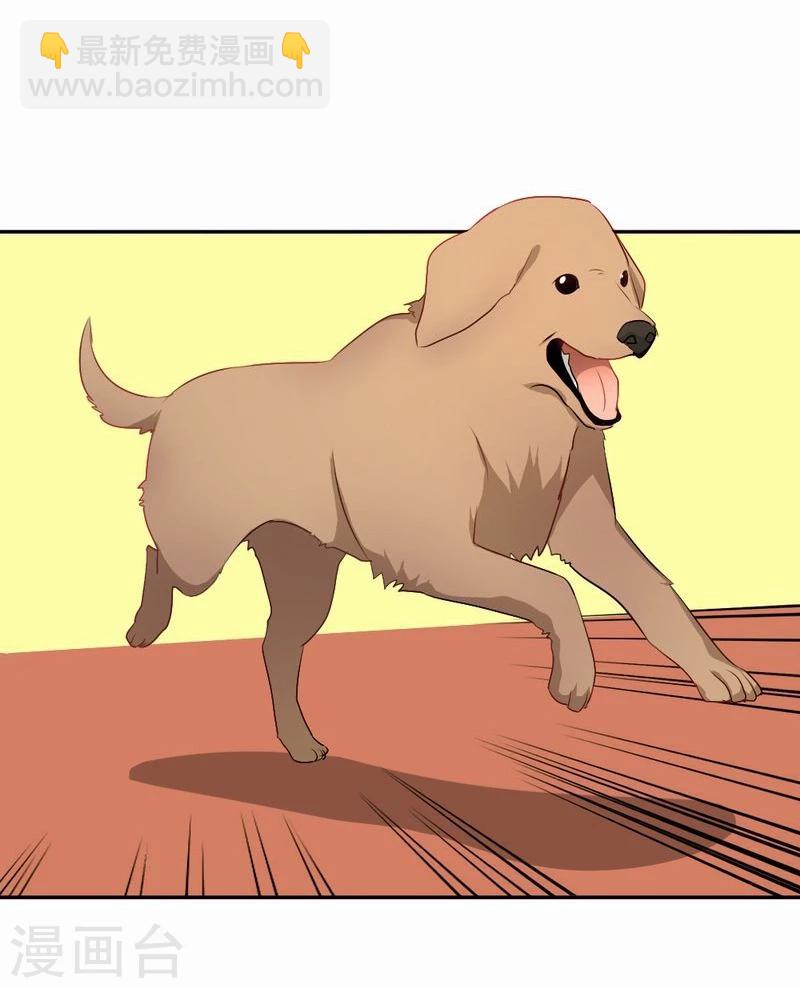 第46话 致敬英雄-第47话