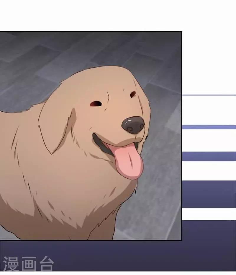 第72话 平静异常-第73话