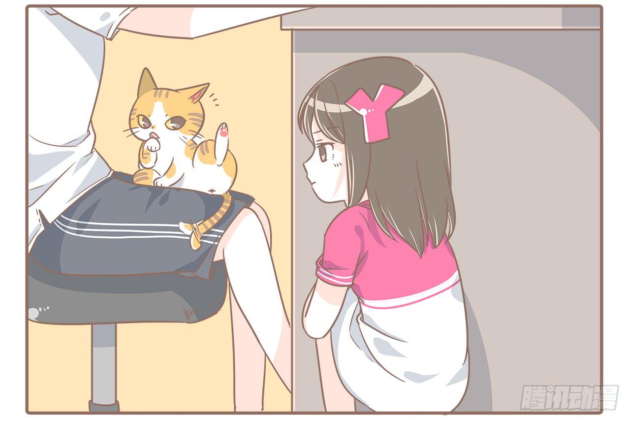猫的内心是崩溃的-第21话