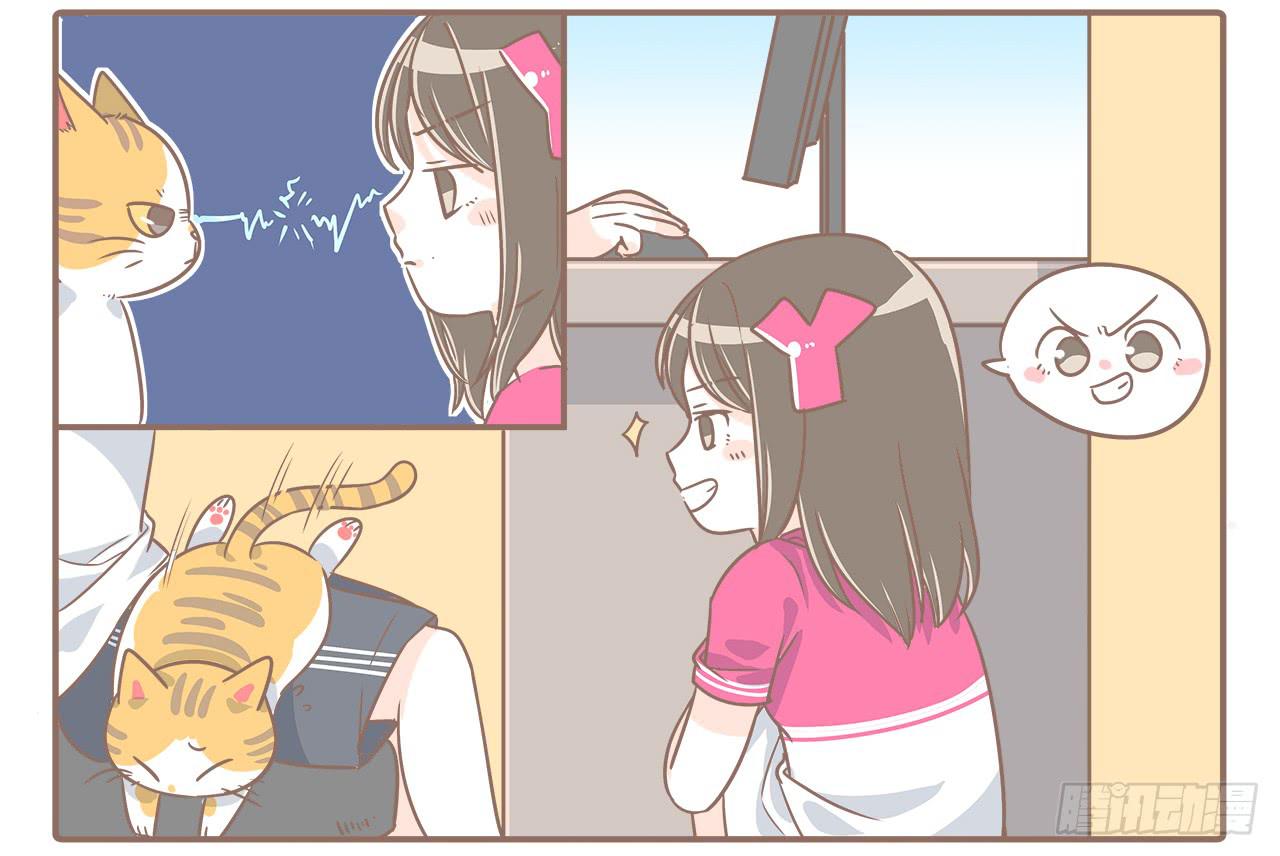 猫的内心是崩溃的-第21话