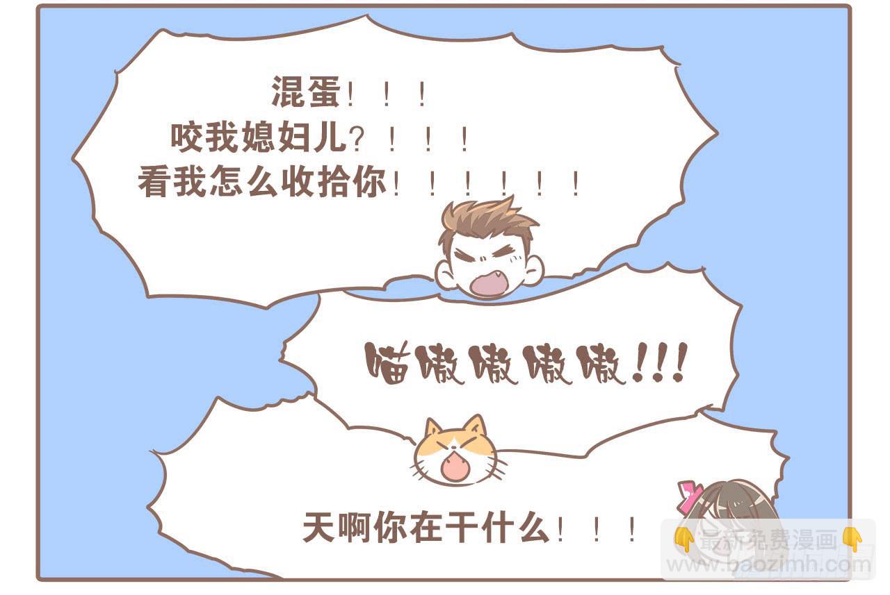 领养了一只猫，叫督尼-第7话