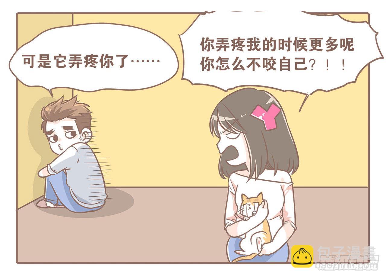 领养了一只猫，叫督尼-第7话