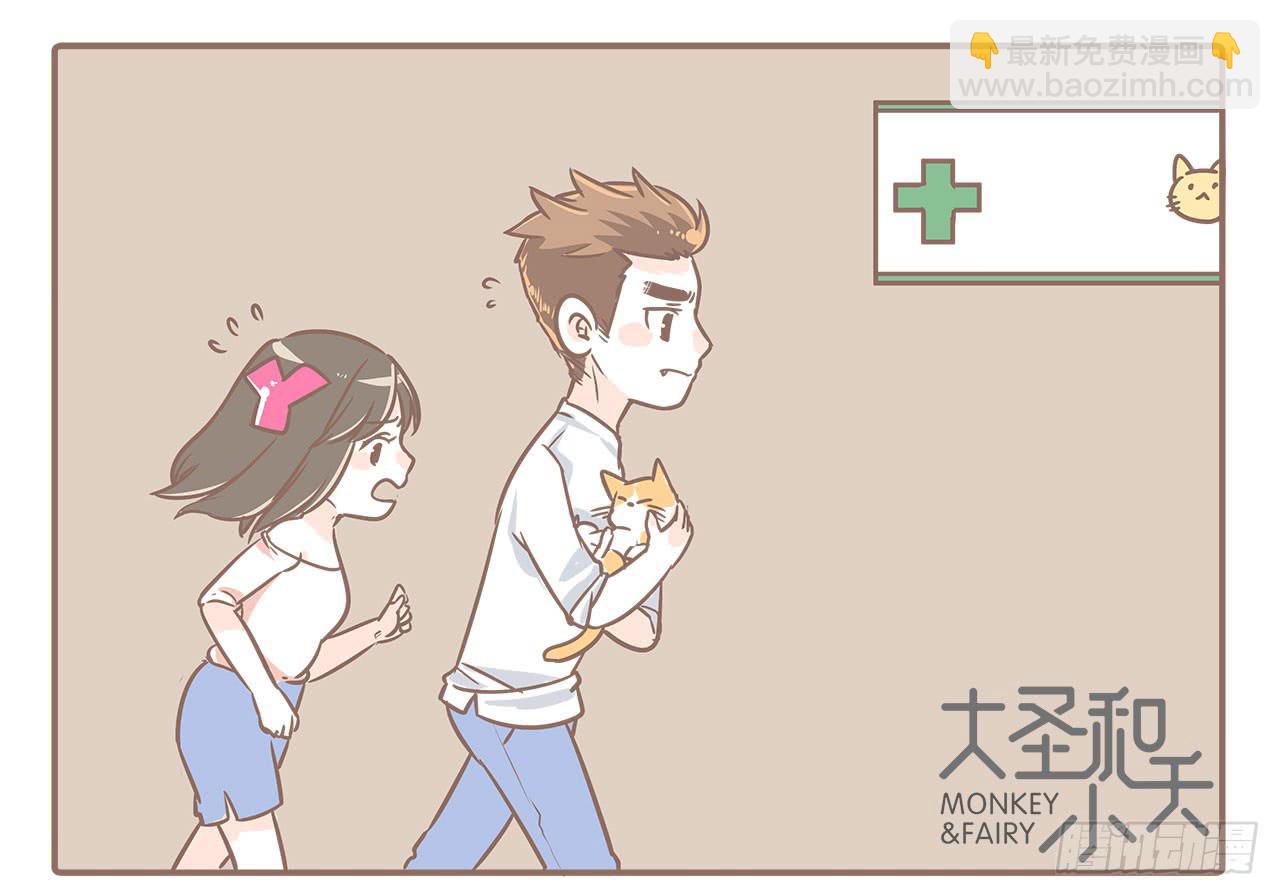 领养了一只猫，叫督尼-第7话