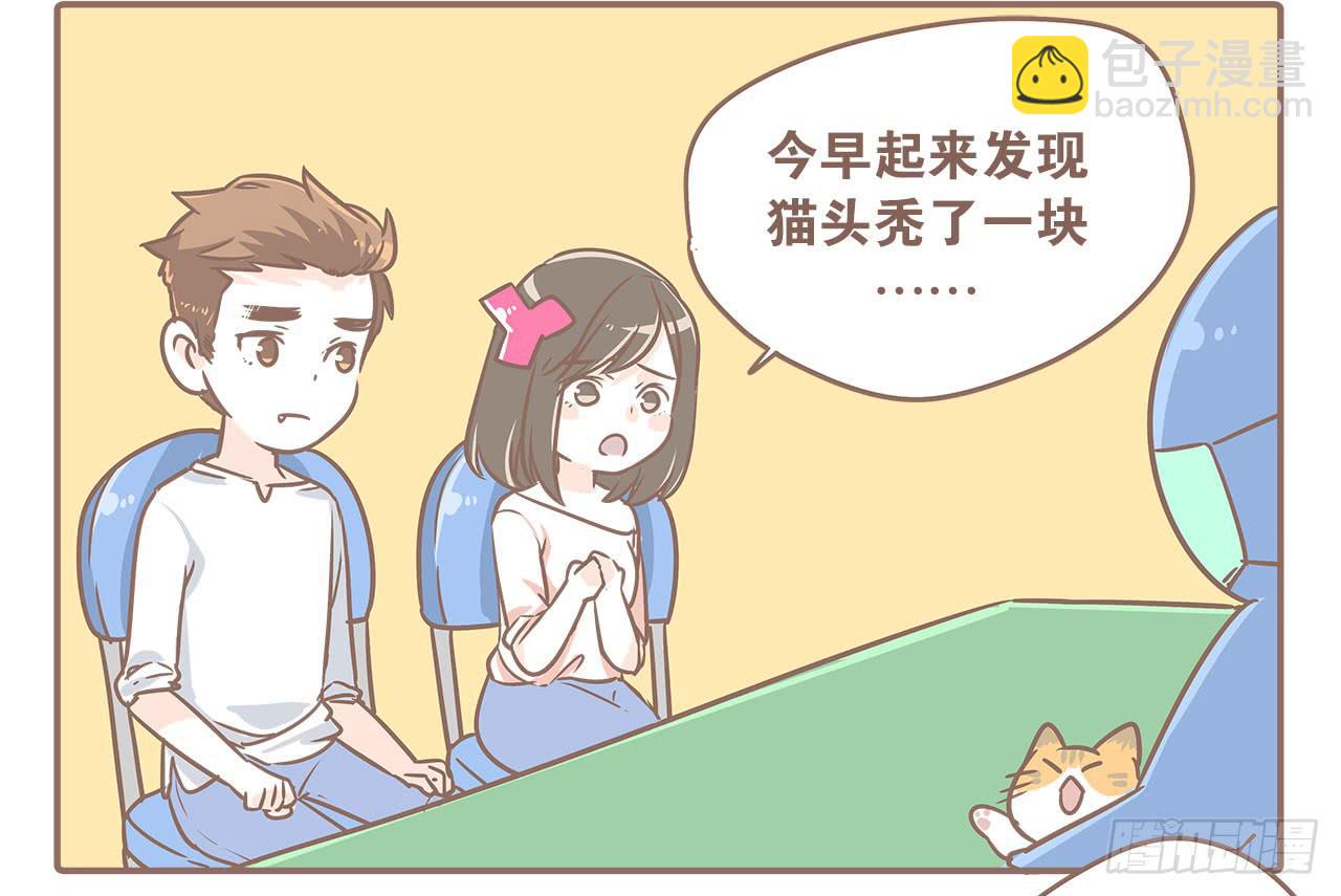 领养了一只猫，叫督尼-第7话