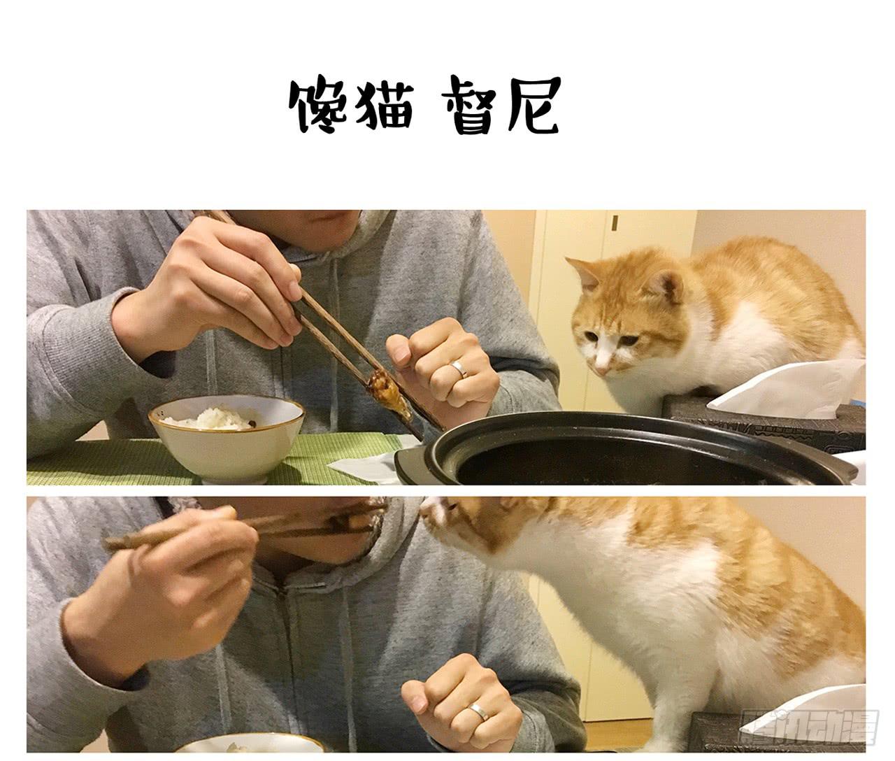 家有俩猫 之二-第69话