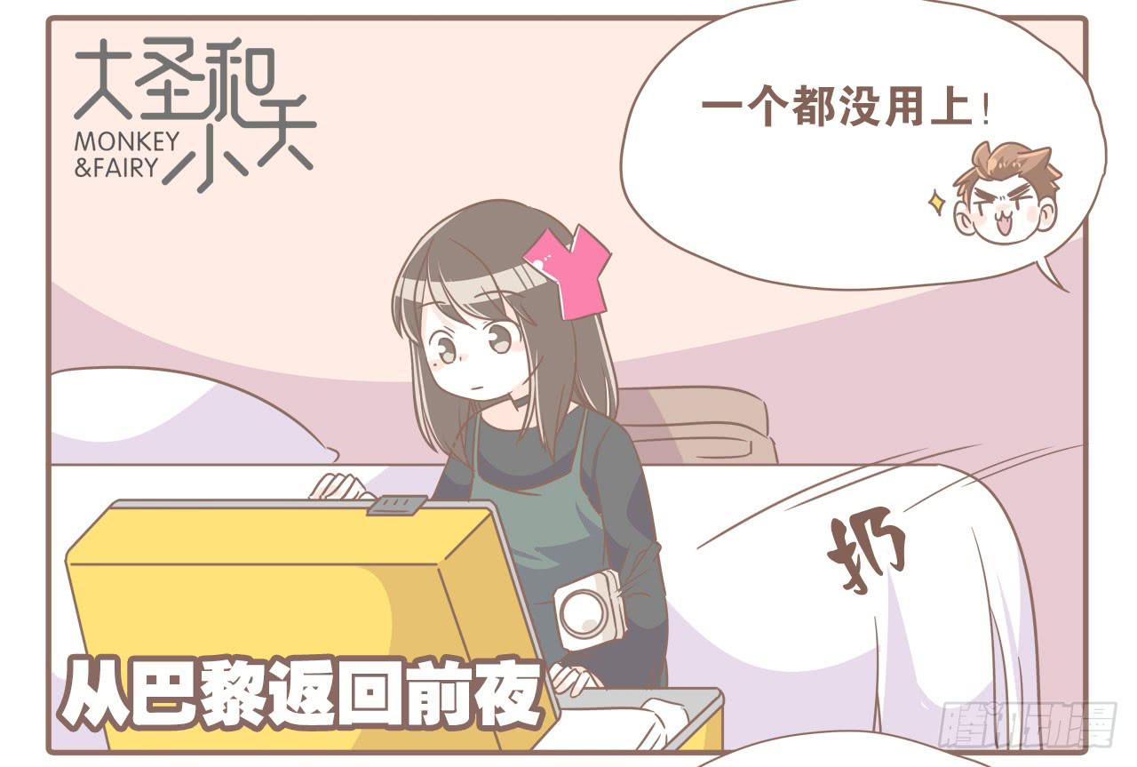 法国之旅&ldquo;圆满&rdquo;结束-第75话