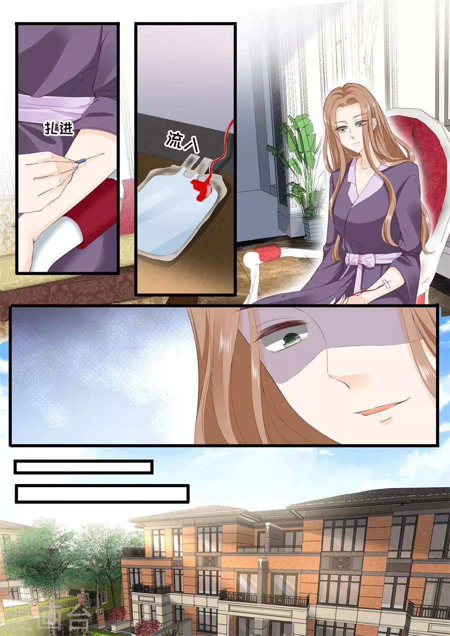 帝少的獨寵計劃 - 第323話 只愛她一個 - 2