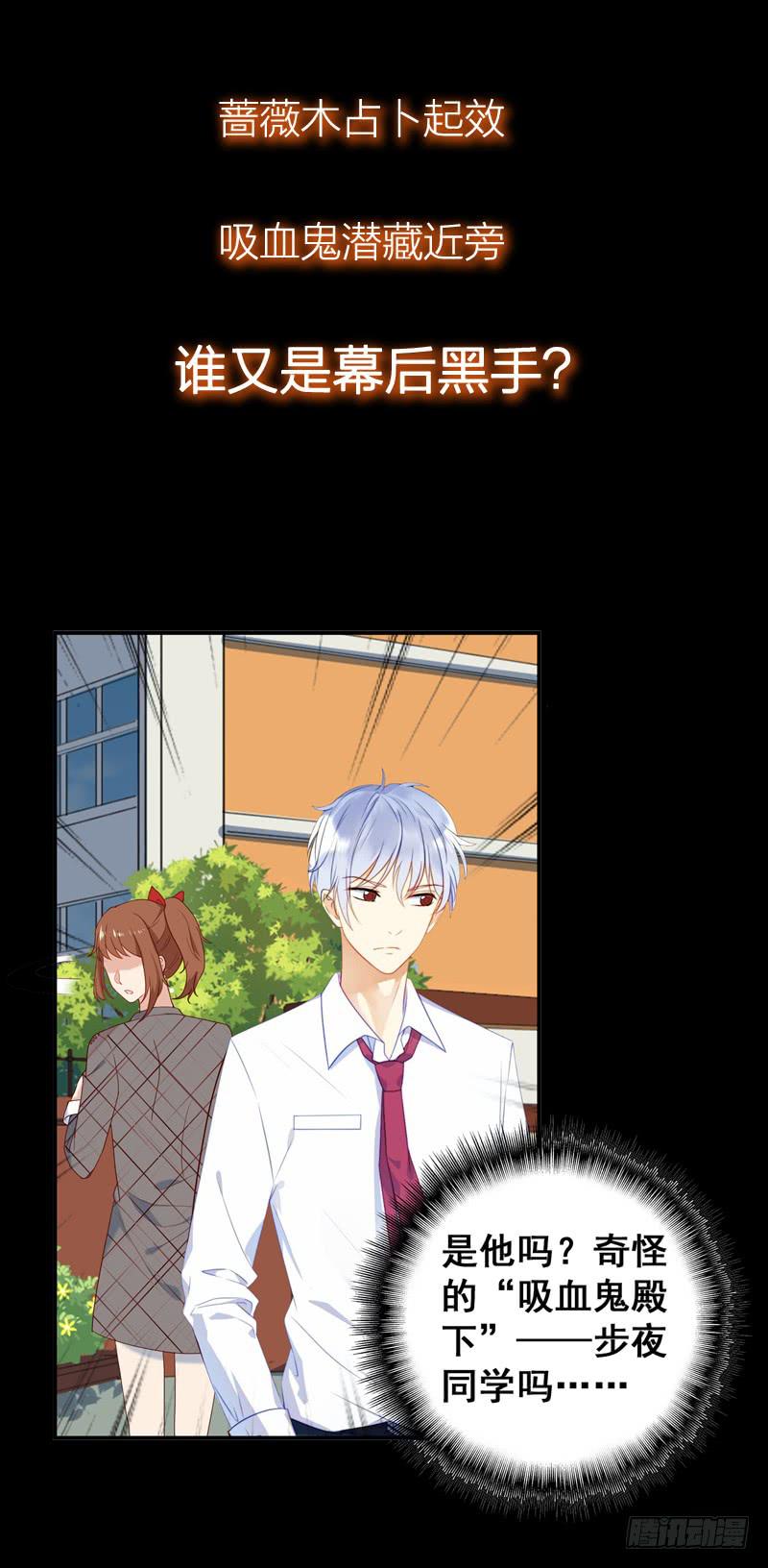 《刀与蔷薇木》新作预告-第49话