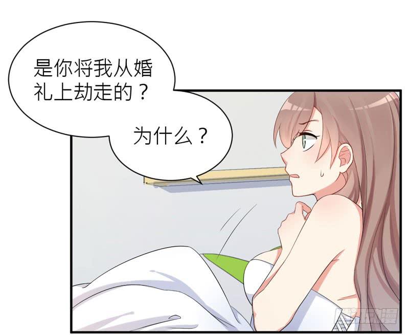 01话 笼中的金丝雀(1/2)-第1话