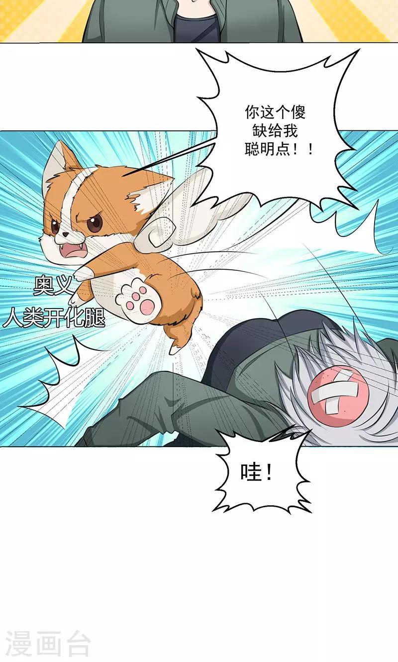 第7话 奇怪的花纹-第7话