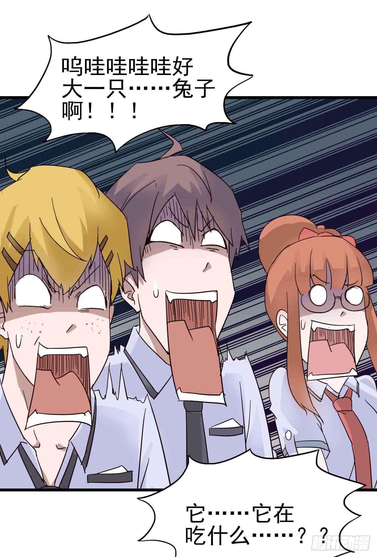 第三章&middot;怨念石之卷（一）(1/2)-第13话