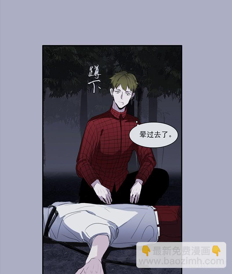 33.森林荧光-第35话