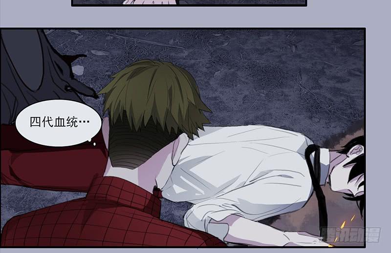 33.森林荧光-第35话