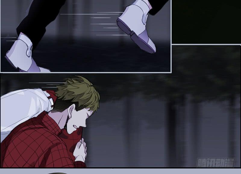 33.森林荧光-第35话