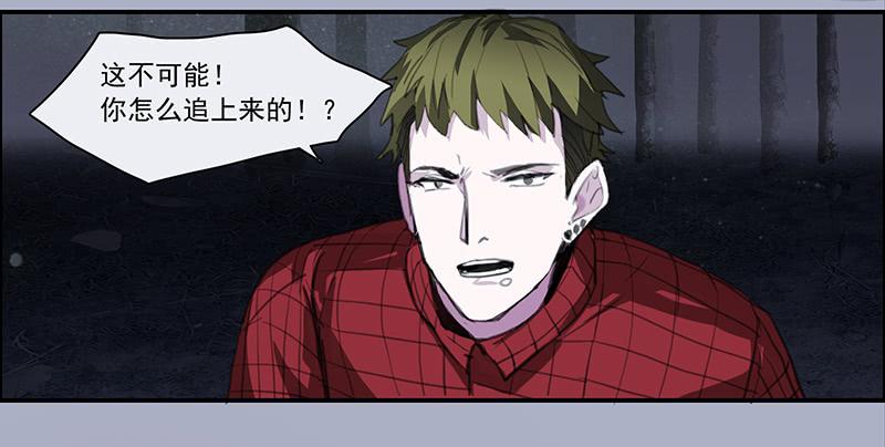 33.森林荧光-第35话