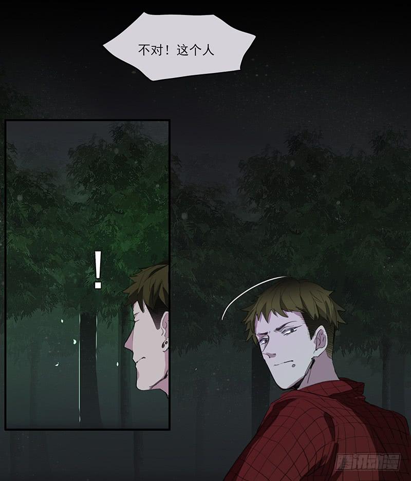 33.森林荧光-第35话