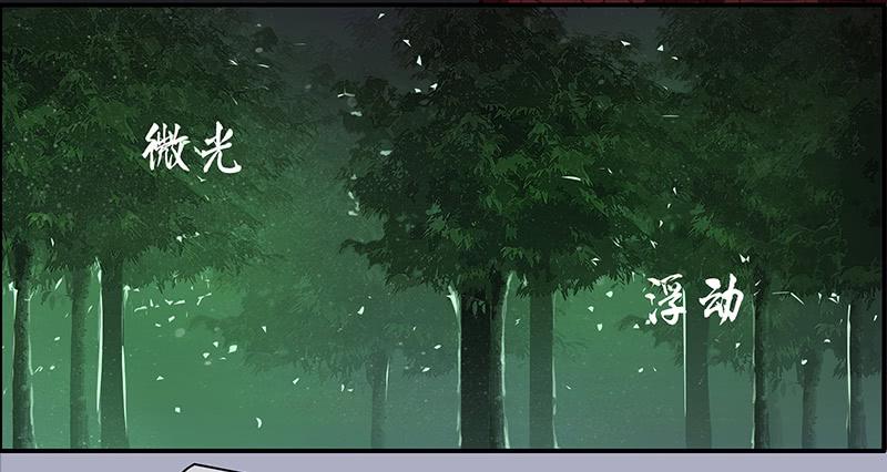 33.森林荧光-第35话