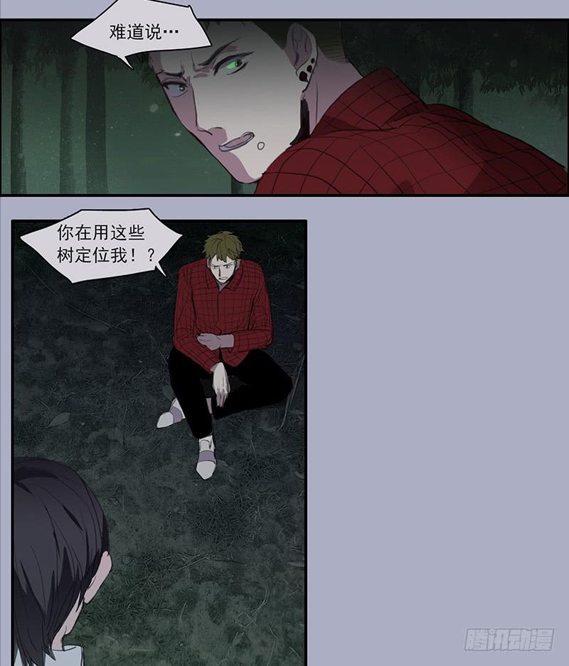 33.森林荧光-第35话