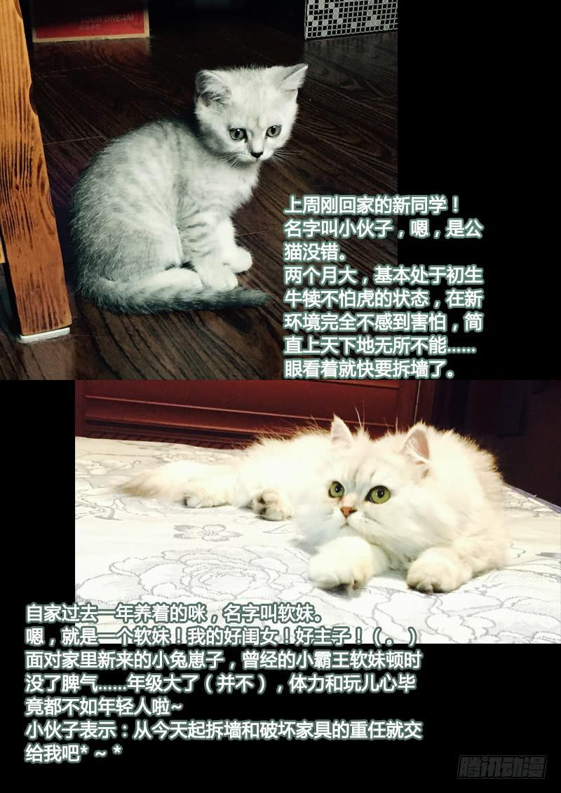 45 身份（二）-第45话