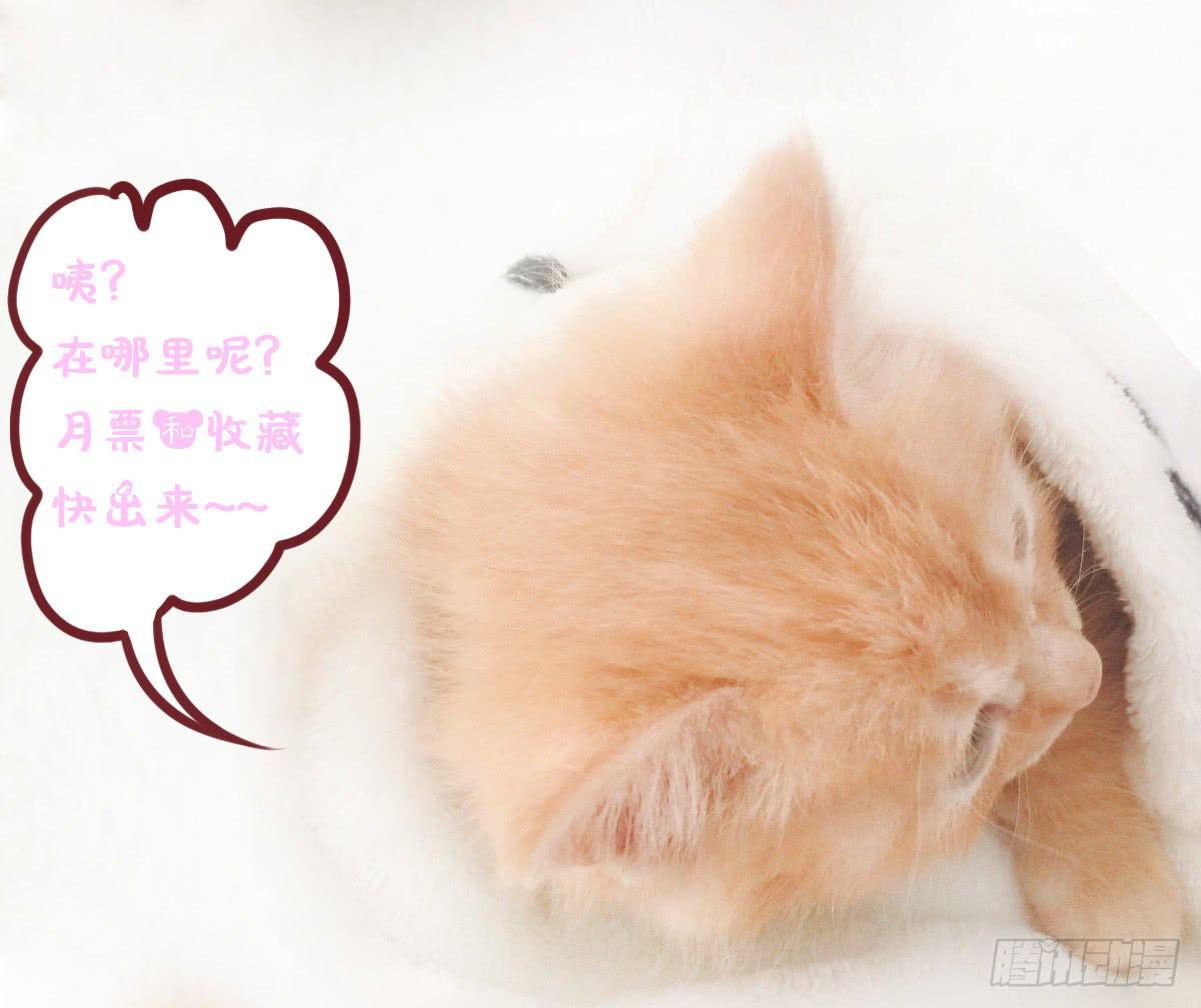 放开你的爪子-第59话