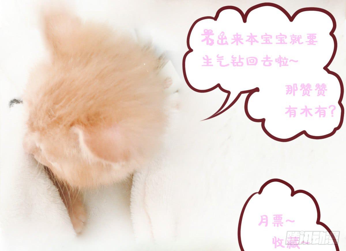 终于找到你了！我的王-第61话