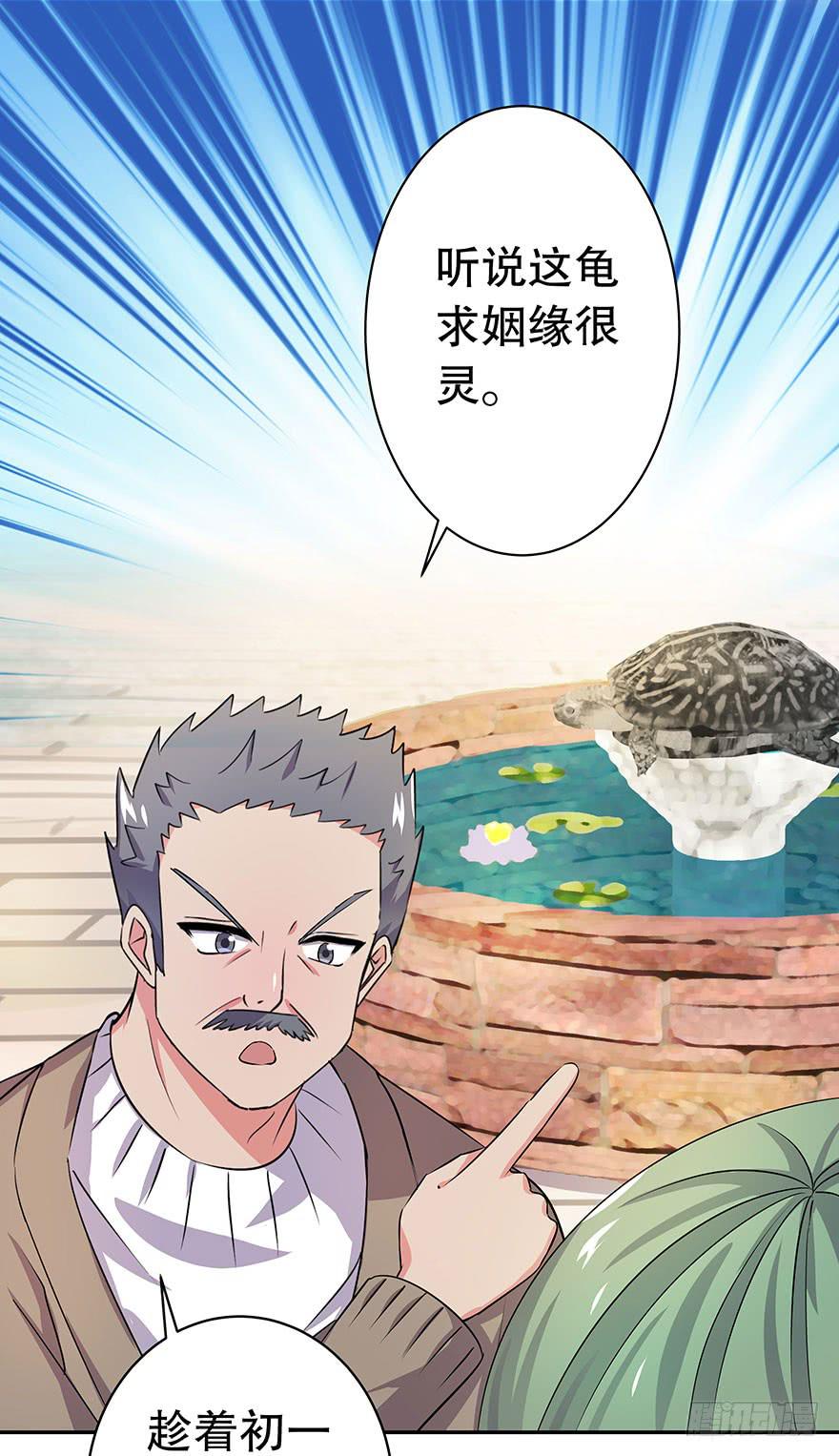 听说神龟很灵验(1/2)-第29话