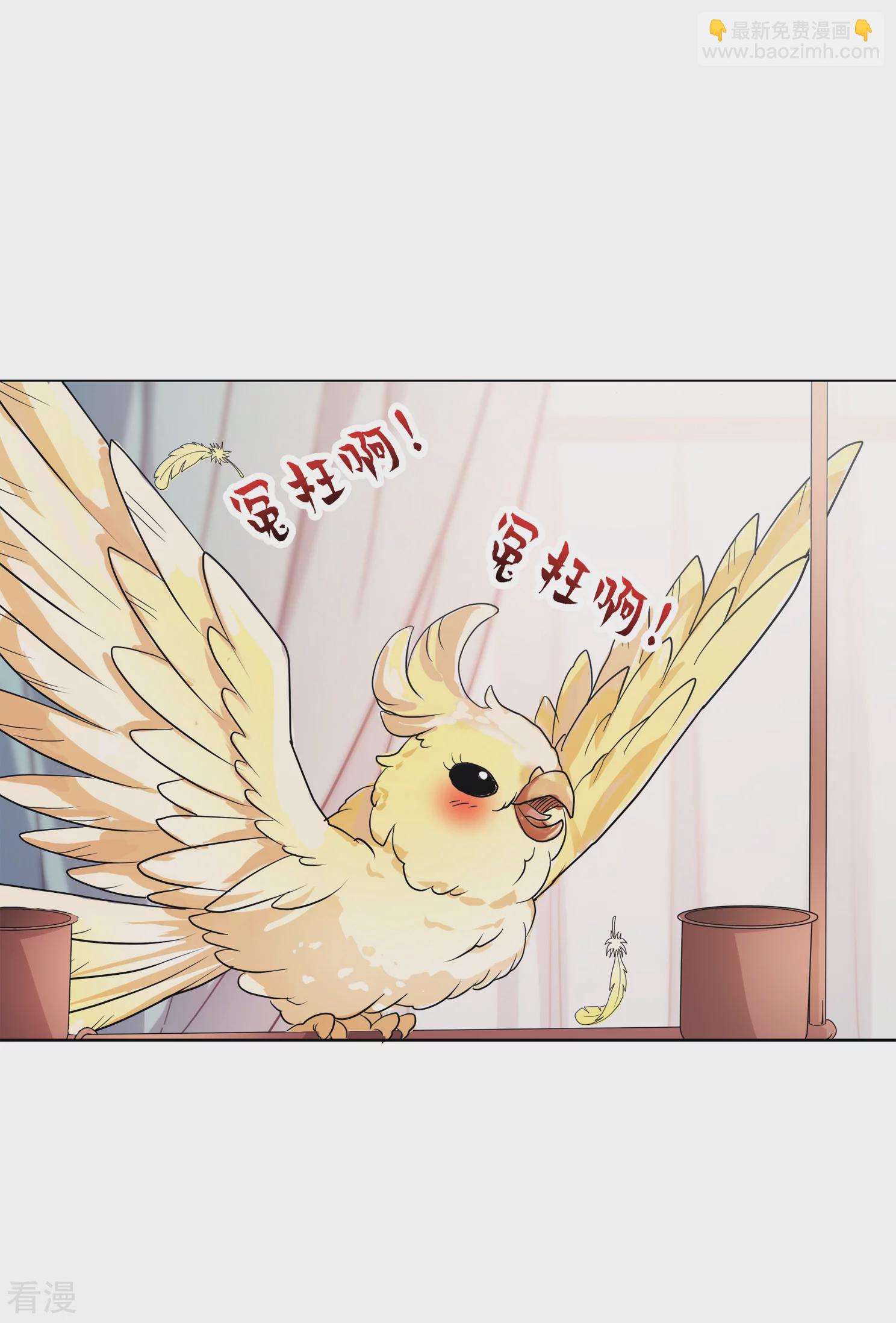 妃夕妍雪 - 第2季第12話 香灰2 - 1