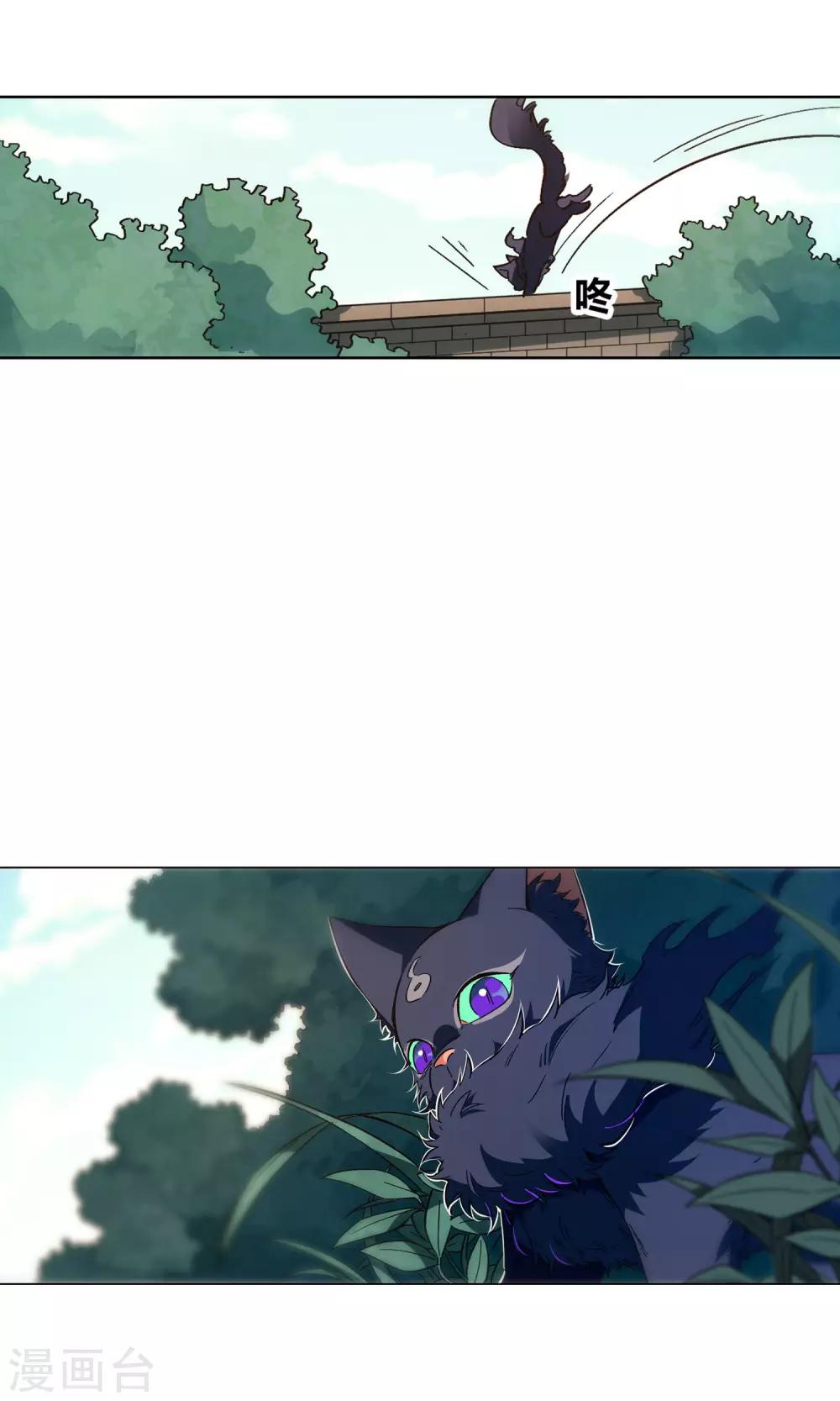 第35话 来自金华猫的嫉妒-第39话