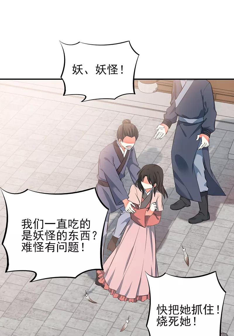 第73话 不一样的玄壶翁-第79话